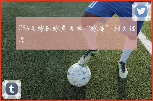 CBA足球队球员名单“球球”相关信息
